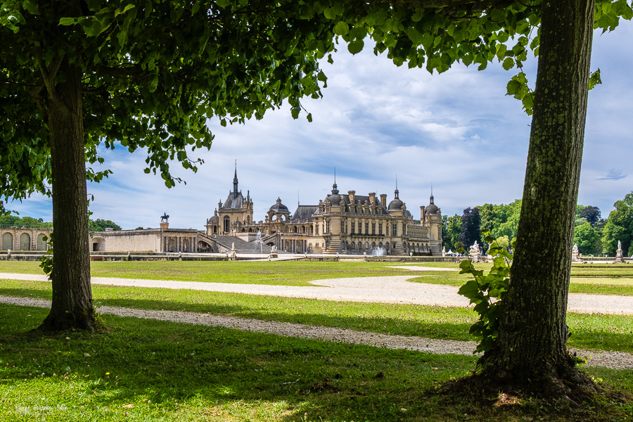 Desafio Fotográfico "Molduras Naturais"