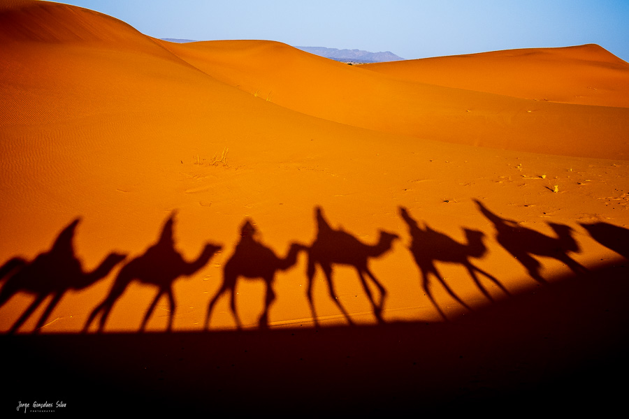 Desafio Fotográfico "Sombras"